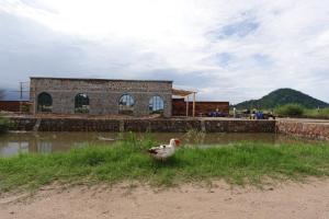 Tipume Villa, Salima