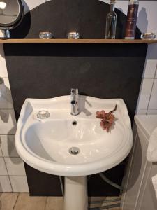 Ferienwohnung am Rosengarten