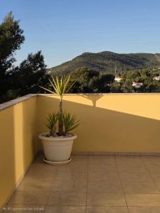 Attico mit Meerblick