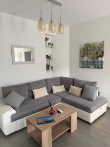 Apartman Mirna