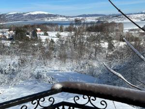 Vila Vlasinski mir