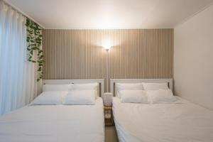 Dana Lodge - Seokchon Lake, KSPO, COEX, Lotte World, Gangnam, Songnidan-gil