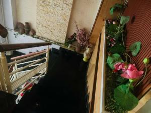 Hue Liberty Homestay