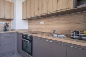Apartmán Nová Dragounská