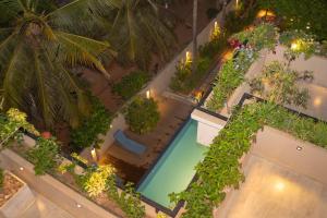 Dhanora Dynasty Resort