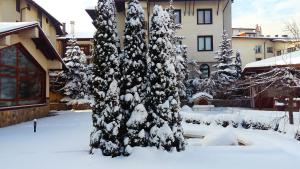 Evelina Palace Hotel