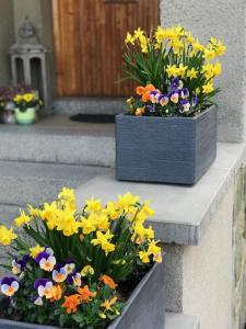 apartman pro 4 osoby