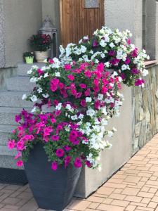 apartman pro 4 osoby