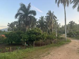 Villa Para Conectar Con La Naturaleza