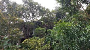 Ceylonese Green Residence