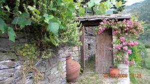 House Rodia