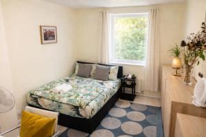 The Hyde Park & Canal Side Executive Residences in Westminster by Ricky & Giustina Collection - W2, W9, NW8