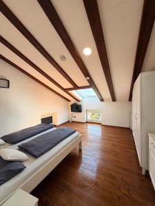 Central Opatija 3 bedroom apartment Mozart