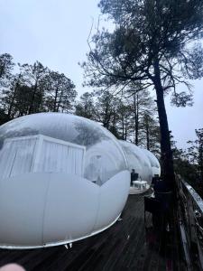 Wooden Inn - Cabañas Boutique y Bubble Glamping en Creel