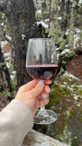 Wooden Inn - Cabañas Boutique y Bubble Glamping en Creel