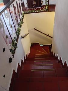 Apartamento Eucalyptus
