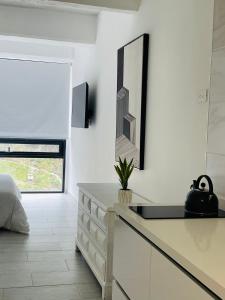 North Point Studios Living Gym Bogotá