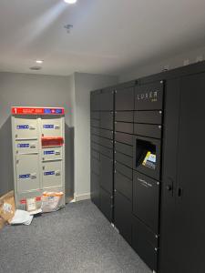 1 bd apt