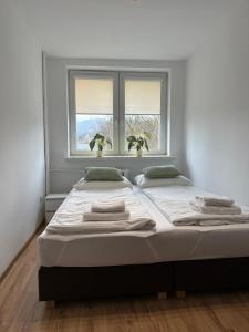Apartament Misio
