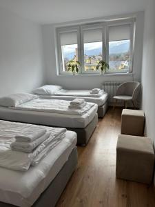Apartament Misio