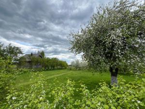 SALA Riverside Camping in Latvia