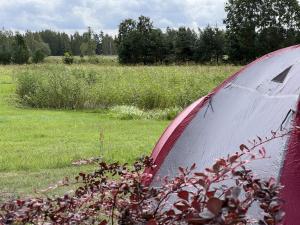SALA Riverside Camping in Latvia