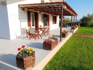 Villa Oliva - 5000m2 Olive Grove - BBQ - Ideal for Families & Groups