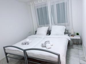 Nice apartment in a prime location on Lake Constance