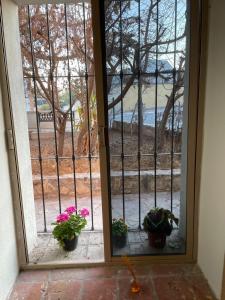 Yellow House, Private Apartment, Centro Arteaga