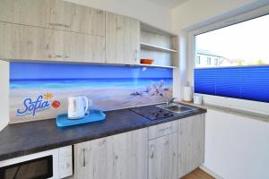 Comfortable holiday homes with a summer pool