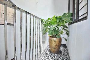 ViVu Home Yen Phu