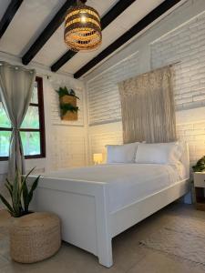 Cardedeu Residence Cangrejera