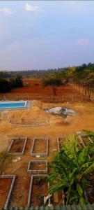 Hasiru Grove