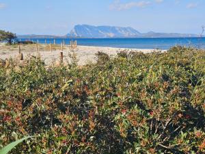 Ambra Beach House img54