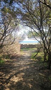 Ambra Beach House img52