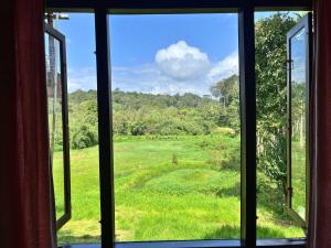 Wild Cat Ranch - DYV Coorg