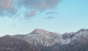 Ferienwohnung GernBlick