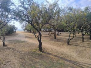 Villa Sonia img35