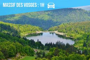 Élégance - Strasbourg