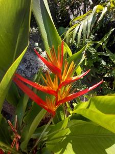 Four Flowers Villa
