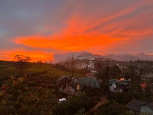 Succulent Homestay