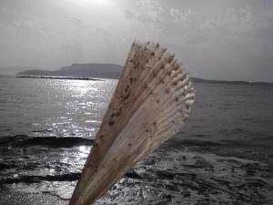 Armonia by Grispos Villas Schoinoussa-Island Greece