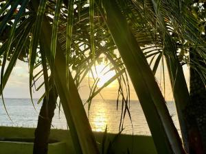 Paradise Escape Plan - Beach House