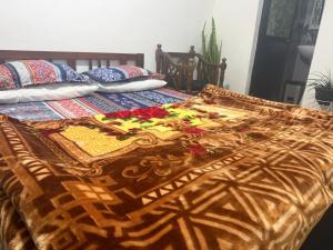 Succulent Homestay