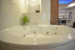 One-Bedroom Apartment with Hot Tub room in Apartment Hermes