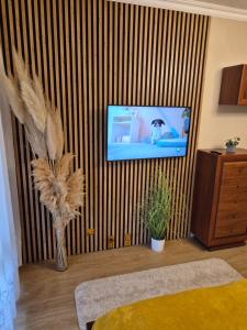 Jókai Apartman Szarvas