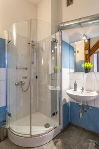 Pauza 3 bedroom apartment! Old Town