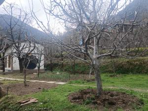 Raahi Roots
