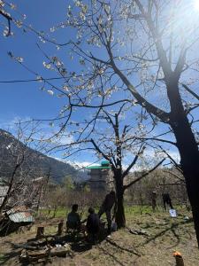 Raahi Roots