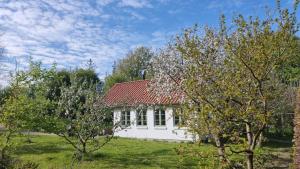 Koppes Mølle B&B - naturnær overnatning